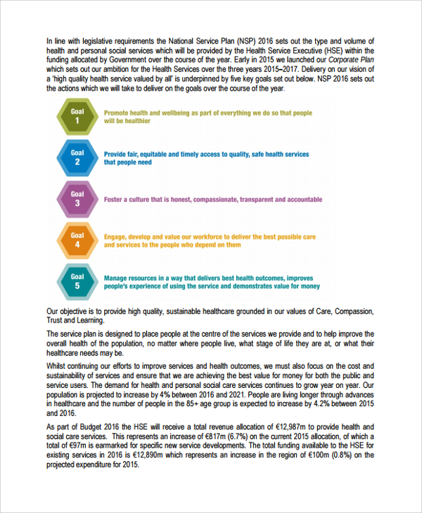 health service business plan template