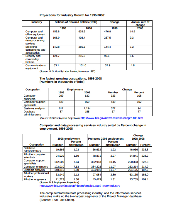 software development company business plan template