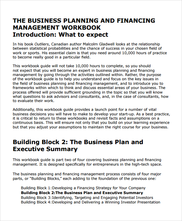 software business planning and financing management