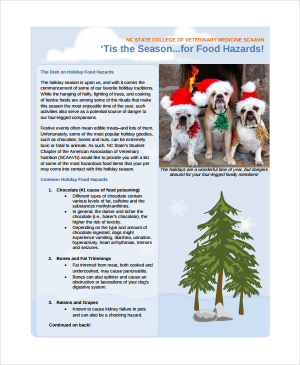 holiday family newsletter template