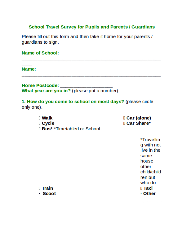 school travel survey