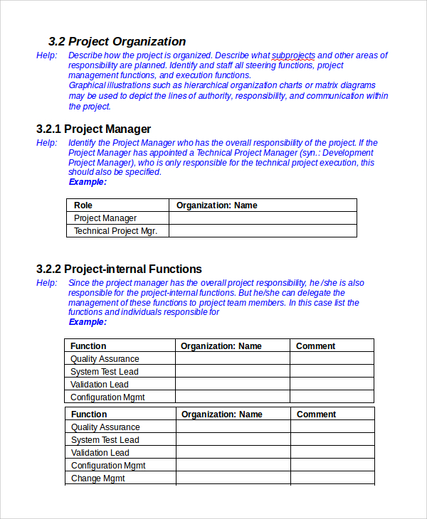Project Plan Template Example