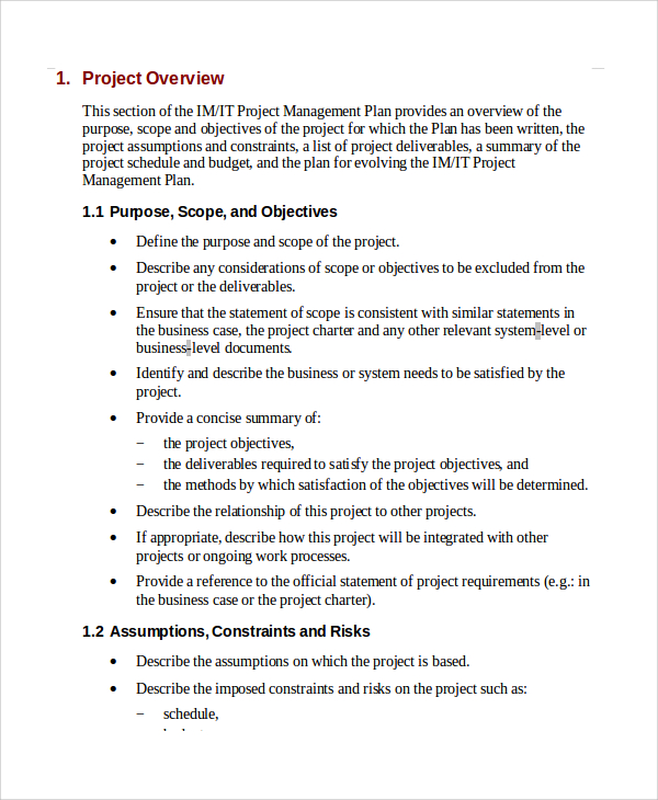 it project plan example