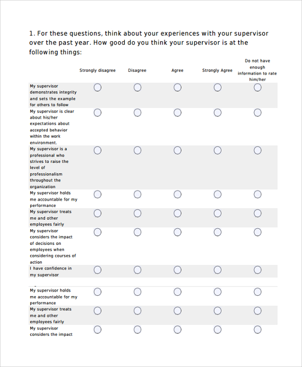 FREE 11  Sample Feedback Survey Templates in PDF MS Word