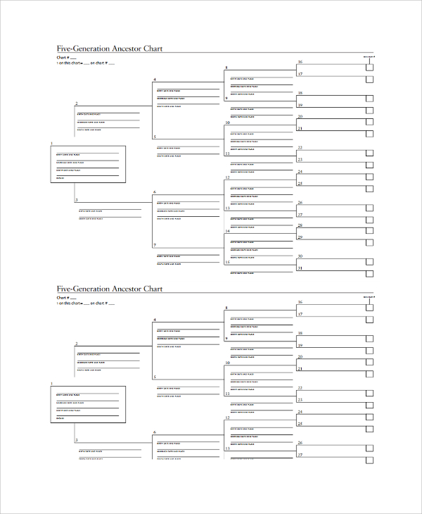 Pedigree Chart Template from images.sampletemplates.com