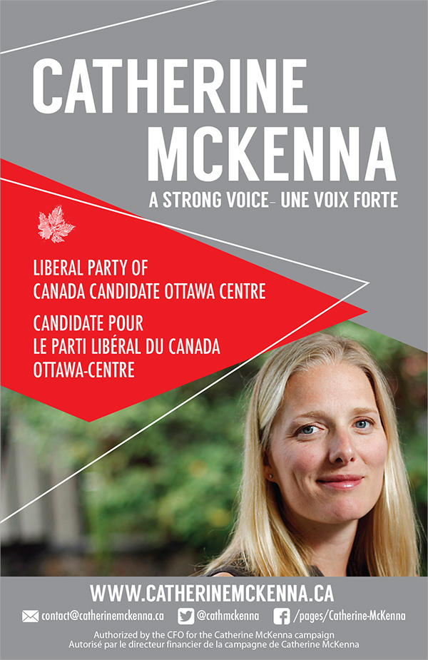 political campaign brochure