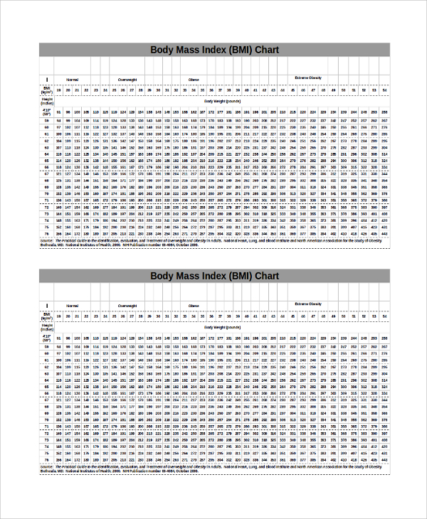 free-19-sample-bmi-index-chart-templates-in-pdf-ms-word-excel