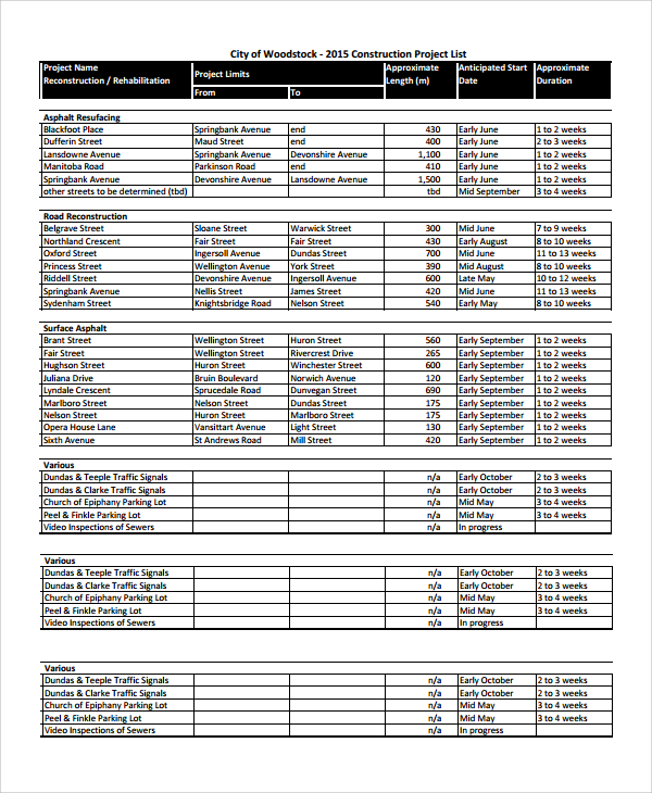 FREE 7  Sample Project List Templates in PDF