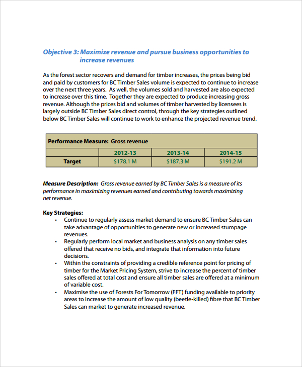 business plan for business development manager