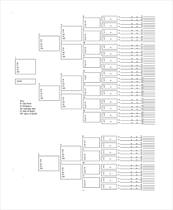 FREE 8+ Sample Blank Family Tree Templates in PDF | MS Word | Excel