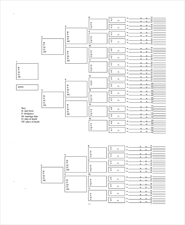 Free Printable Family Tree Template 7 Generations Printable Templates
