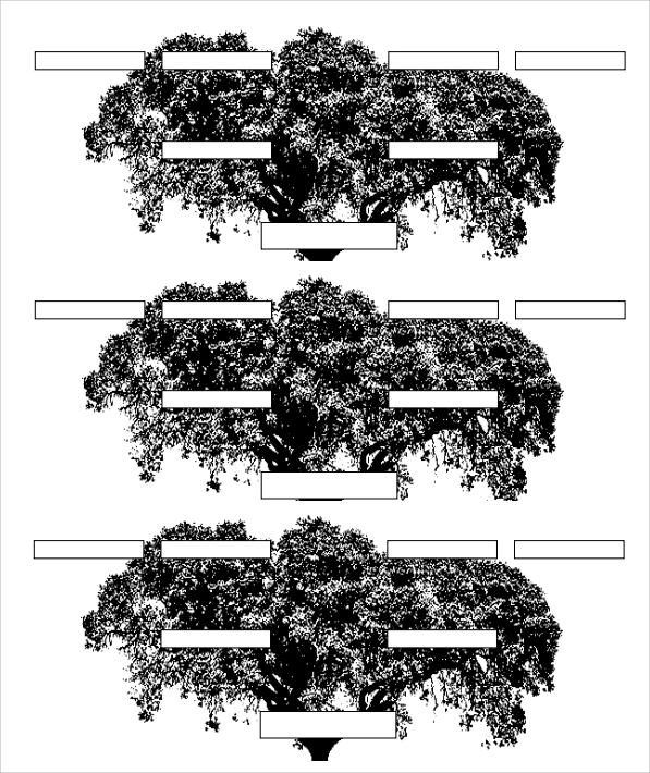 free-6-sample-3-generation-family-tree-templates-in-ms-word-pdf