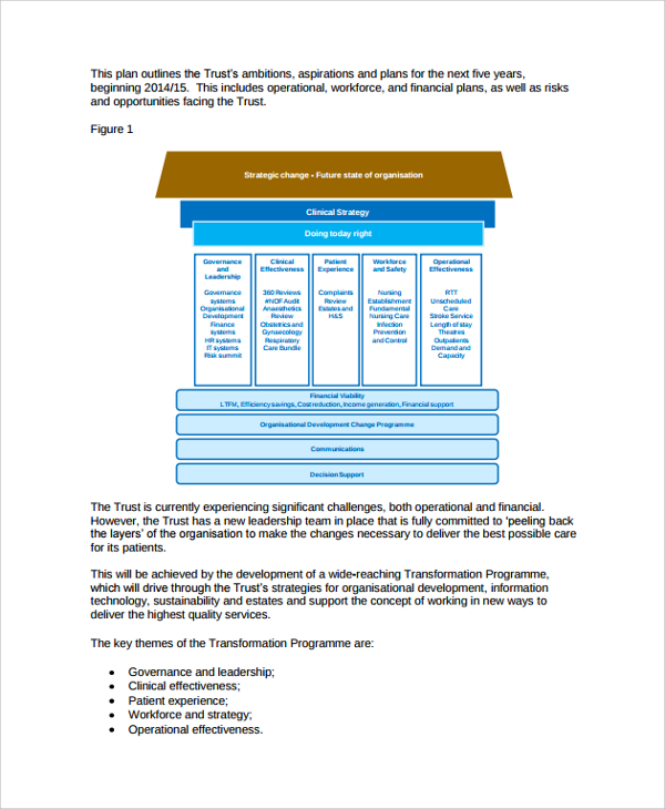 hospital business plan template