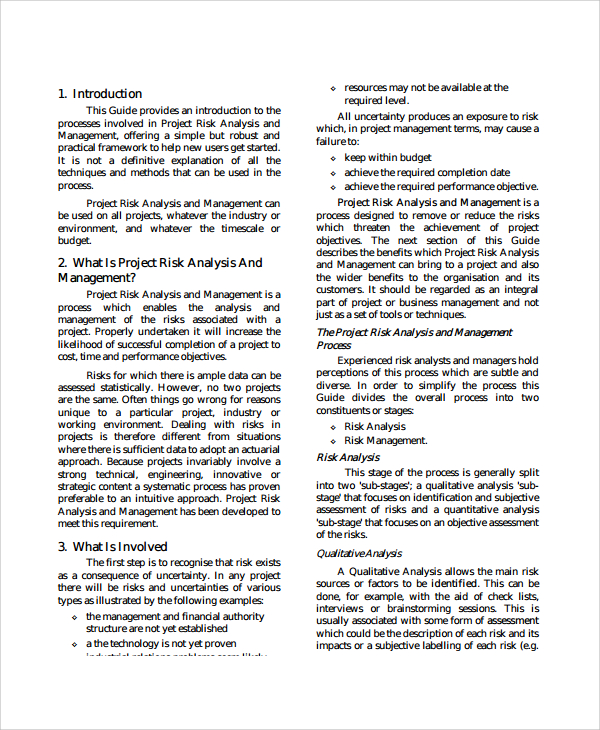 project risk analysis template