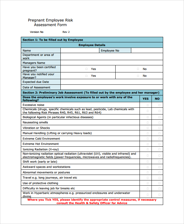 Health and Safety Risk Assessment Record Log 
