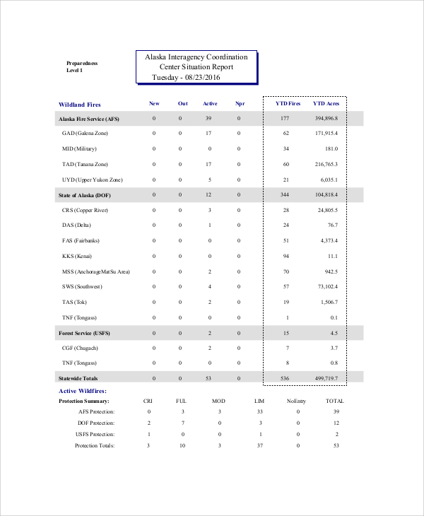 FREE 5+ Sample Situation Report Templates in PDF