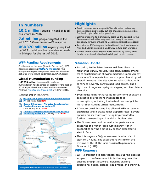 FREE 5+ Sample Situation Report Templates in PDF