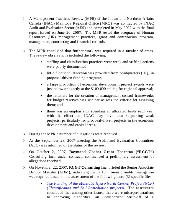 forensic audit report case study