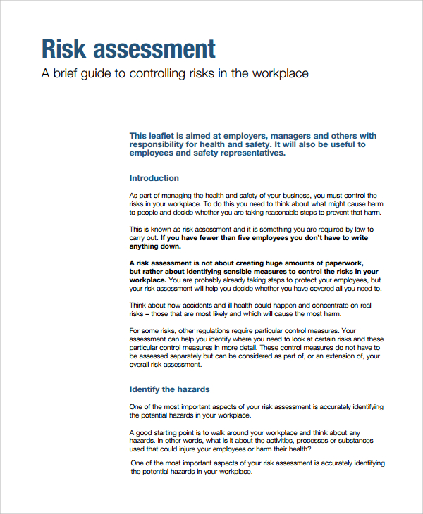 sample risk assessment 