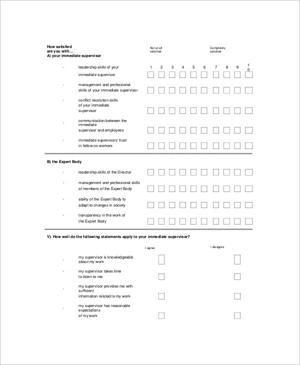 FREE 13+ Employee Survey Samples in MS Word | PDF