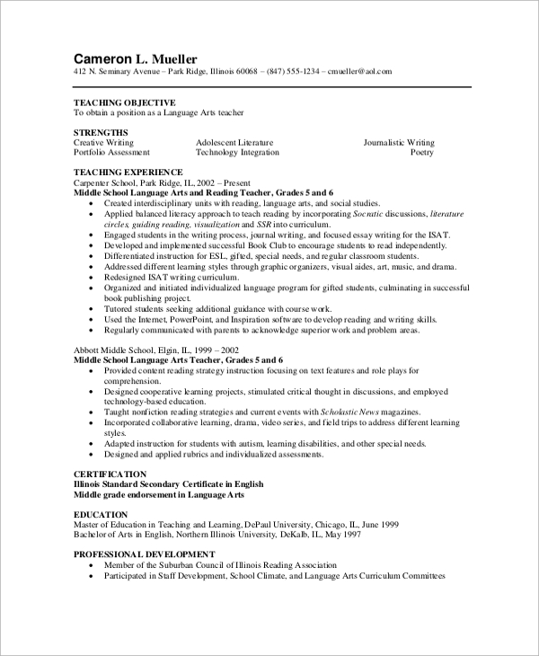 professional experience resume sample