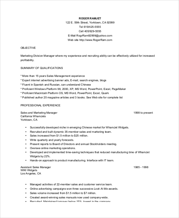 professional resume sample format