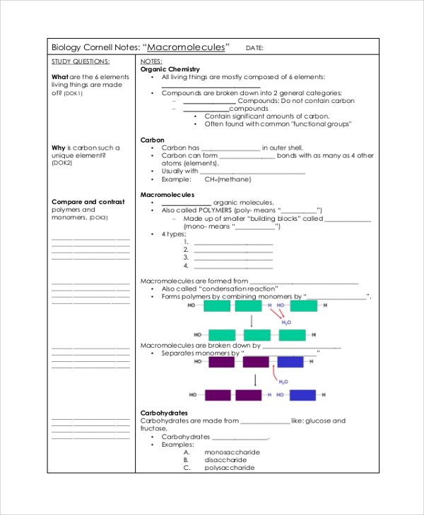 free-20-sample-cornell-note-templates-in-pdf-ms-word