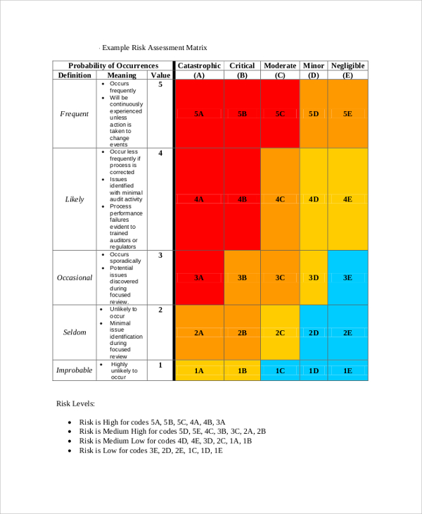 Project Risk Assessment Matrix Template