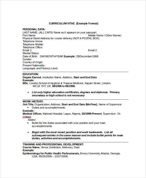 Free 5 Sample It Cv Templates In Pdf Ms Word