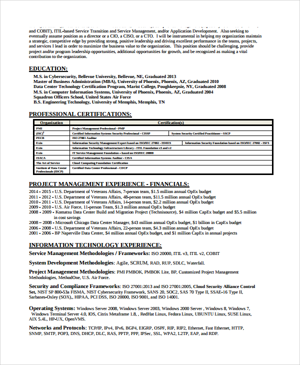 Information security professional resume