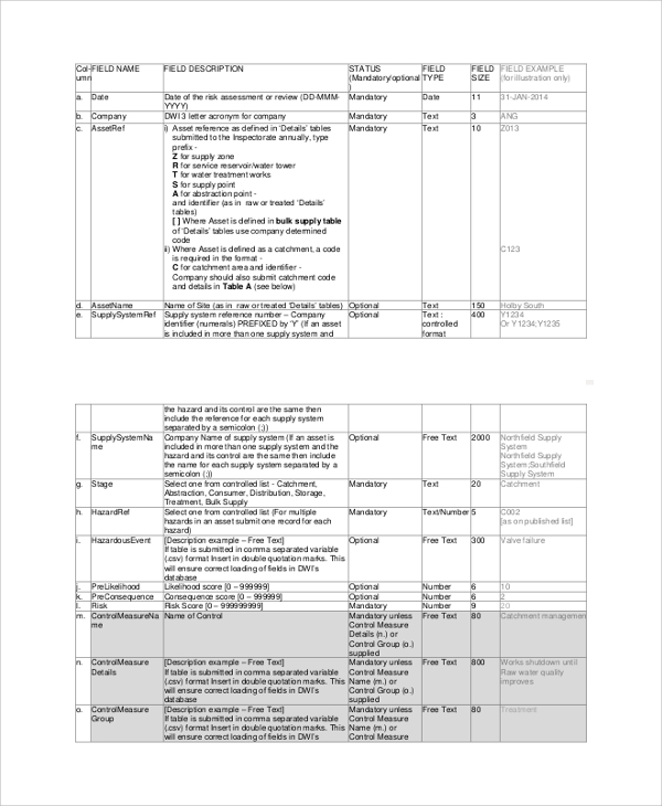 risk assessment report format