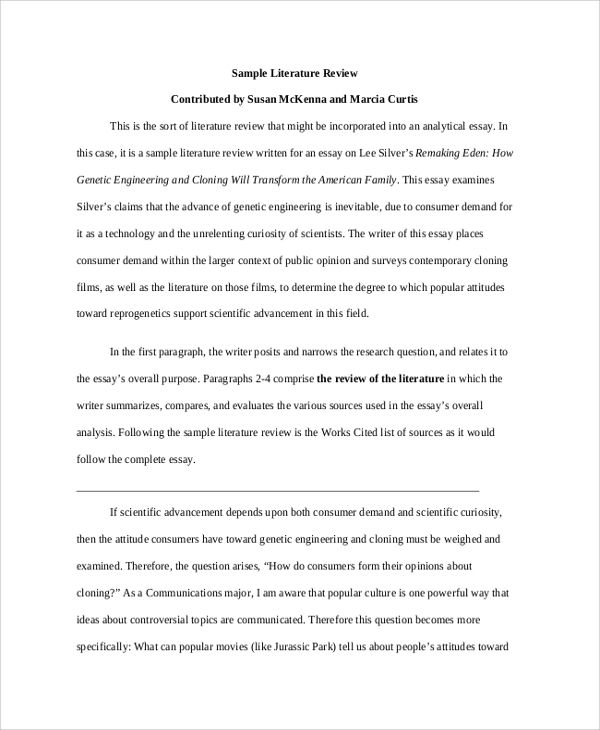 literature review example essay