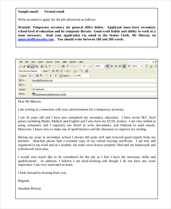 FREE 7+ Job Application Sampel in MS Word PDF