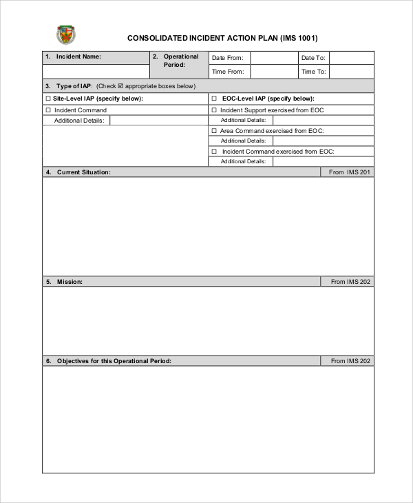 printable incident action plan sample
