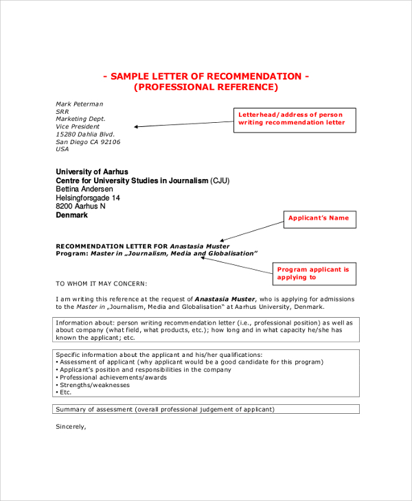 professional letter of recommendation format1