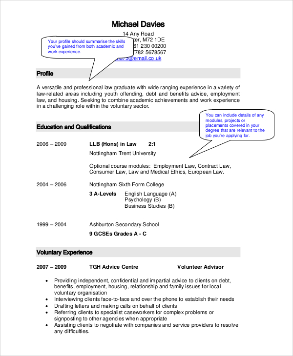 Free 8 Cv Examples In Ms Word Pdf