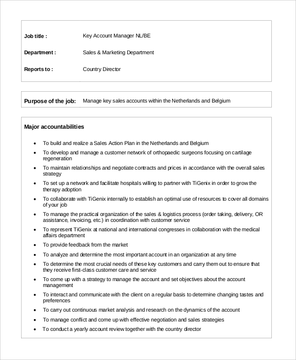 FREE 7+ Sample Account Manager Job Description Templates ...