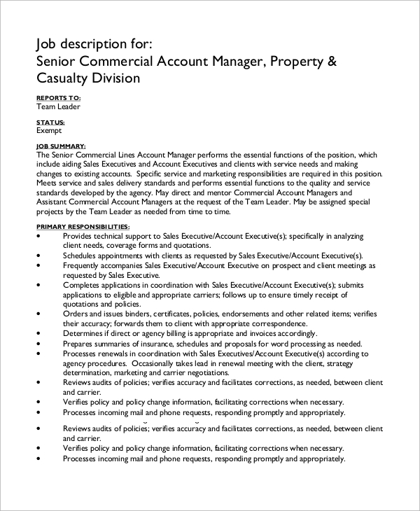 senior account manager job description