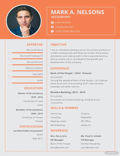 experienced accountant resume format template