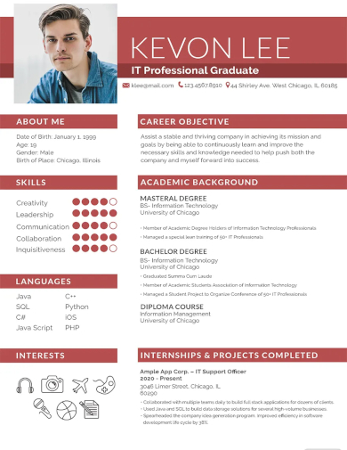 professional resume for freshers template