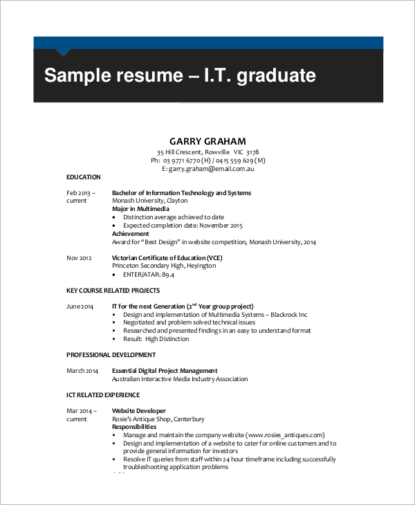 resume example it professional