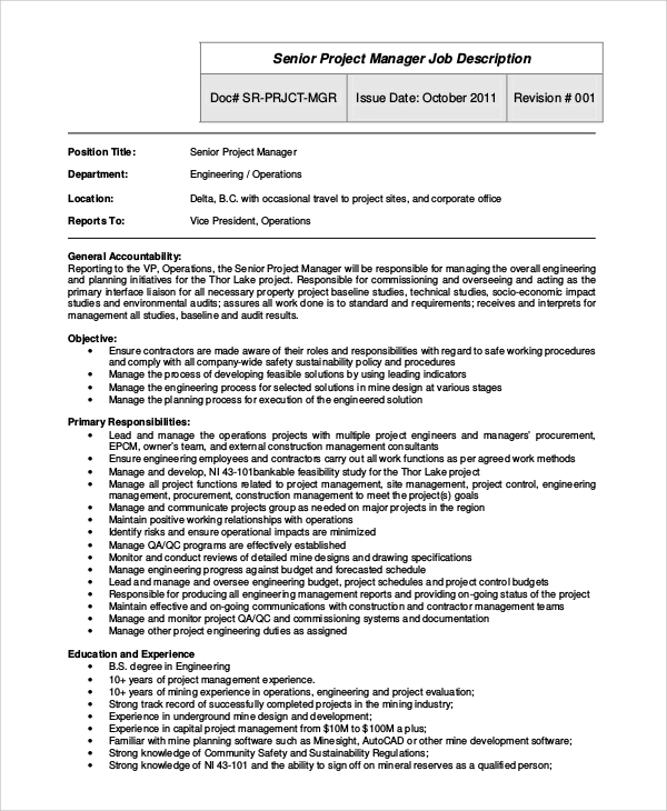 FREE 9+ Sample Project Manager Job Description Templates in PDF | MS Word