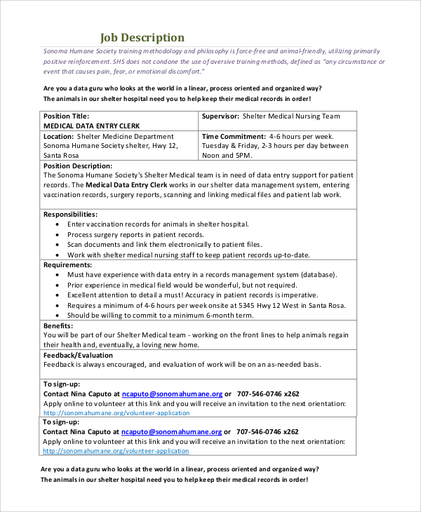 description sampling data job Description 8 Job Sample Word PDF, Examples in Data  Entry