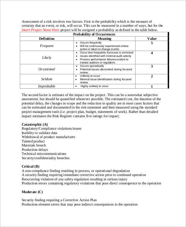 risk management plan example