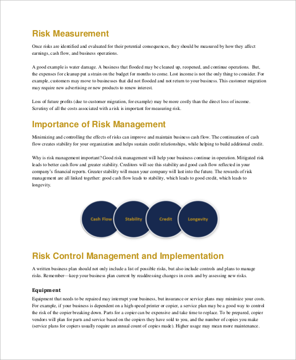 risk management plan example for business