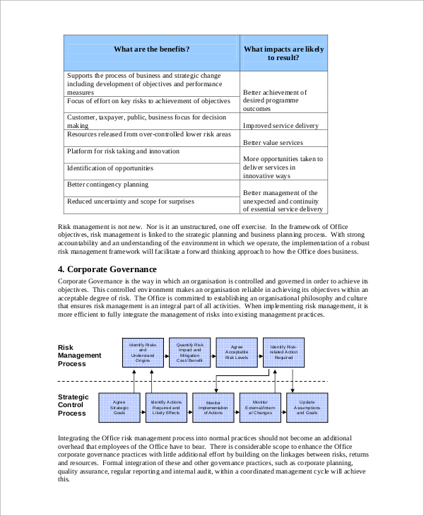 it risk management policy