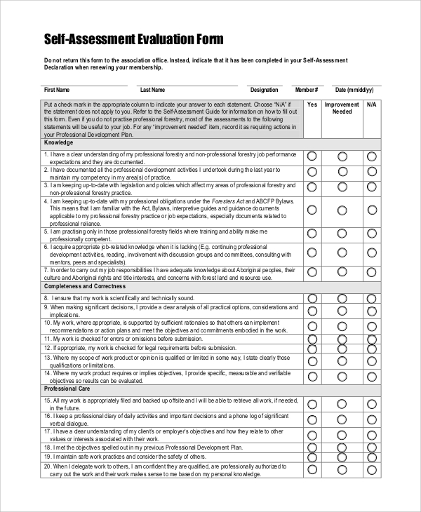 Professional Self Assessment Examples Hot Sex Picture