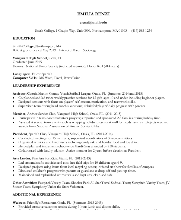 professional resume example