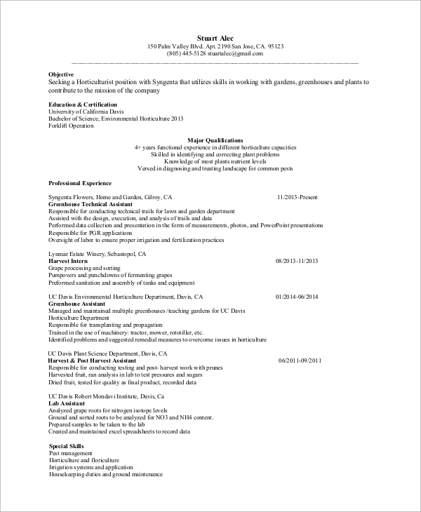 FREE 9+ Sample Entry Level Resume Templates in MS Word | PDF