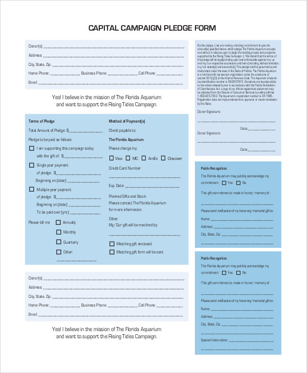 FREE 8+ Sample Pledge Forms in PDF | MS Word